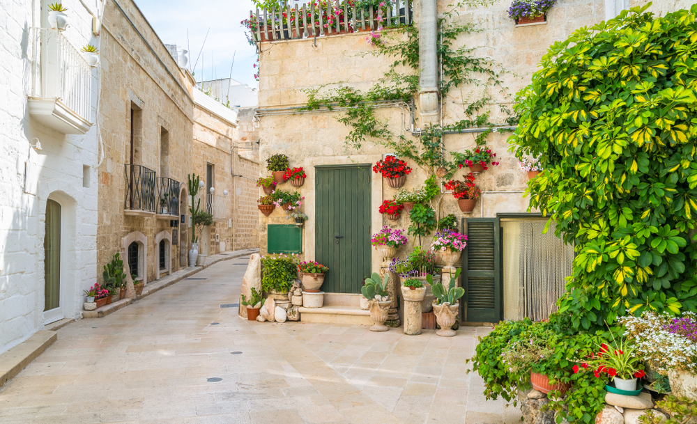 Monopoli