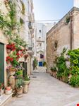 Monopoli