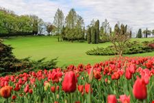 Parco Giardino Sigurtà