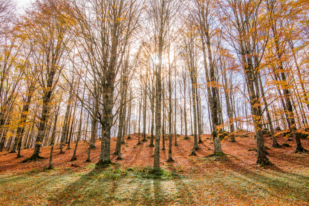 Parco Naturale Regionale Monti Simbruini
