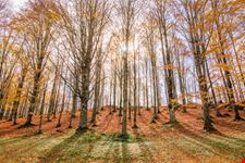 Parco Naturale Regionale Monti Simbruini