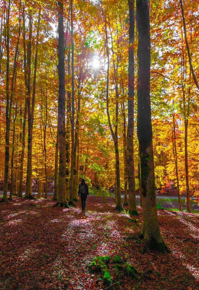 Parco Naturale Regionale Monti Simbruini