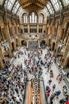 Museo di Storia Naturale