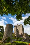 Blarney Castle
