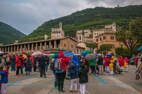 Festa Dei Ceri Festa Dei Ceri Buffy1982 / Shutterstock.com 
