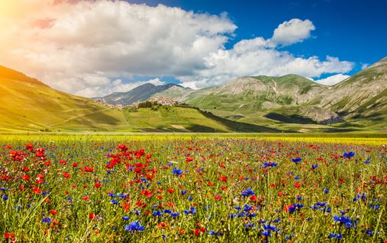 Altipiano di Castelluccio Altipiano di Castelluccio bluejayphoto - Istockphoto.com 