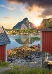 Reine