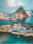 Reine