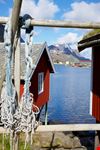 Reine