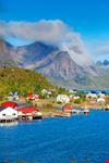 Reine