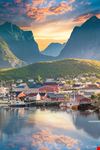 Reine