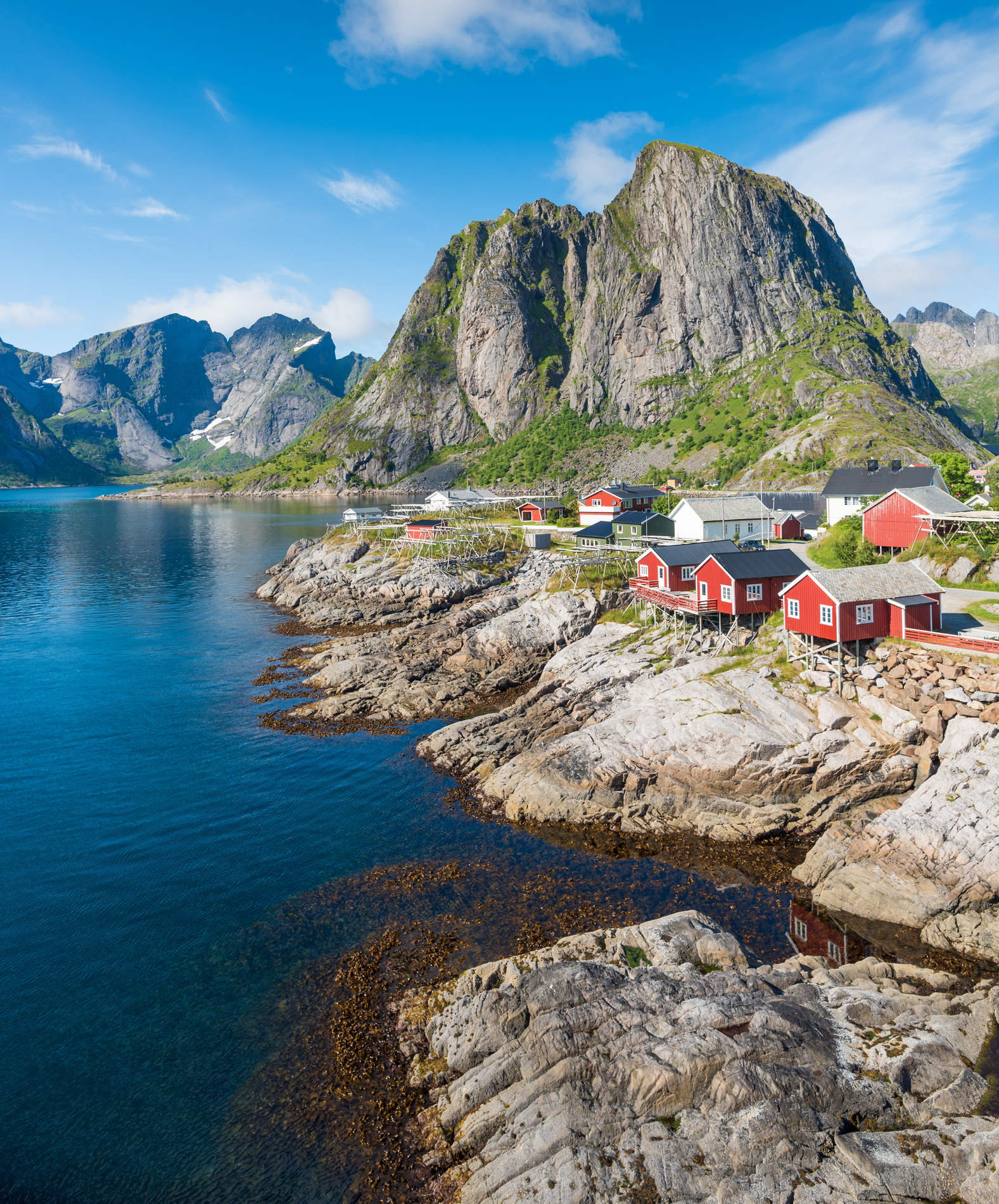 Reine