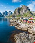 Reine
