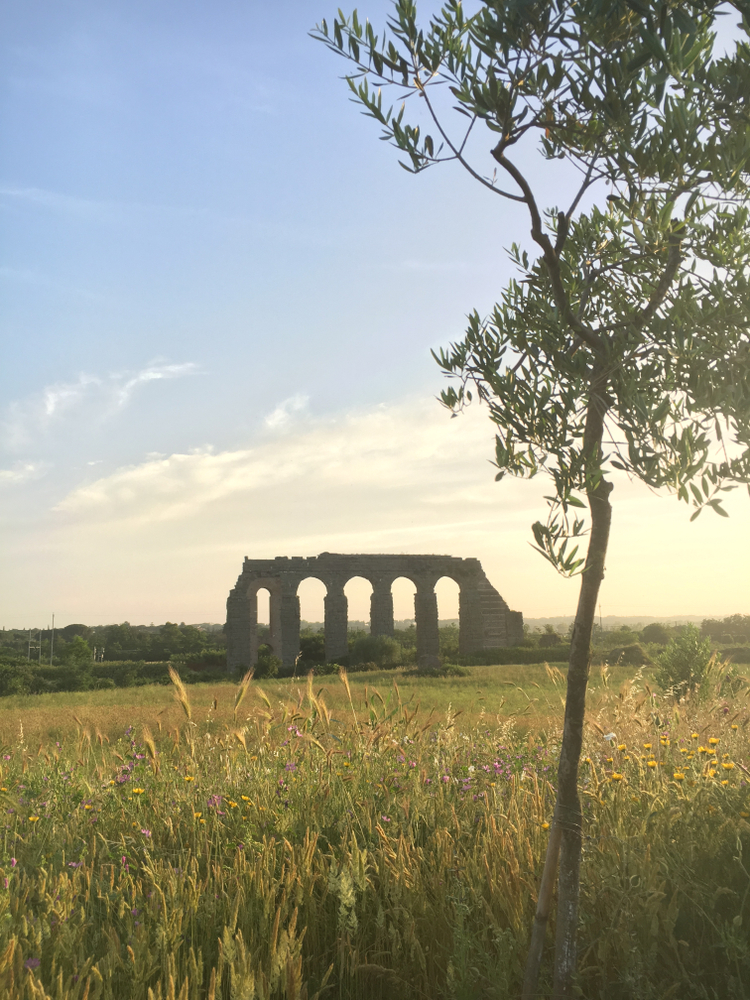 Roma