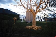Innsbruck