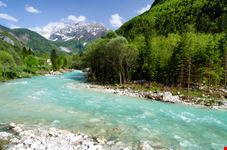 Isonzo