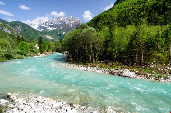 Isonzo Isonzo Michael Thaler - Shutterstock.com Michael Thaler