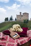 Grinzane Cavour