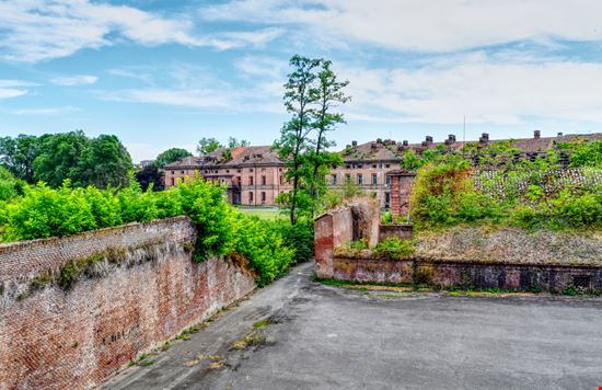 La Cittadella La Cittadella hydra viridis - Shutterstock.com 