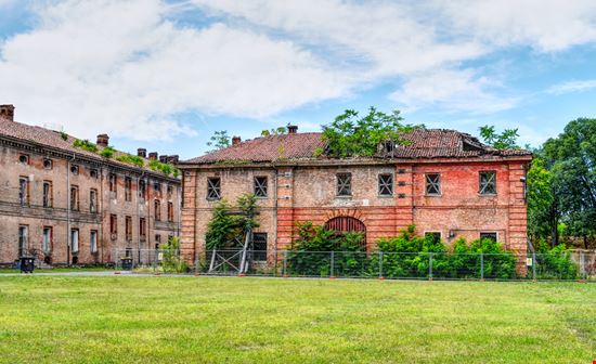 La Cittadella La Cittadella hydra viridis - Shutterstock.com 
