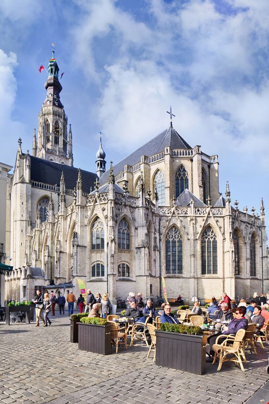 Breda Breda TonyV3112 / Shutterstock.com 