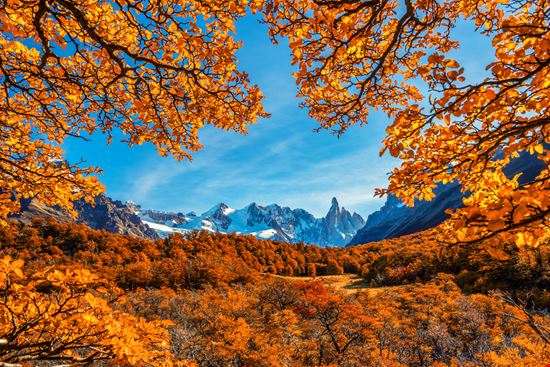 Parco nazionale Los Glaciares Parco nazionale Los Glaciares dsaprin - Shutterstock.com 