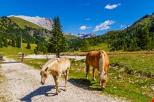 Val Duron