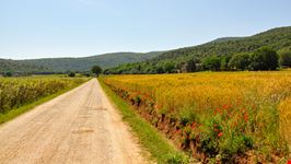 Via Francigena