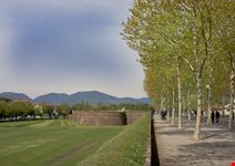 Lucca