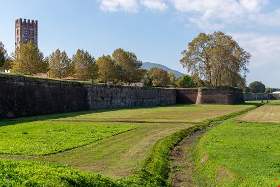 Lucca Le Mura Marco A M Oliveira / Shutterstock.com 