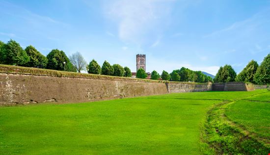 Lucca Le Mura ELEPHOTOS - Shutterstock.com 