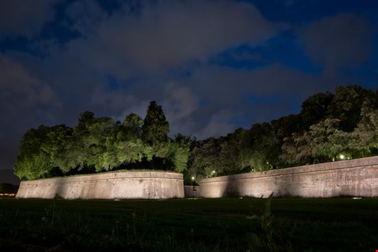 Lucca Le Mura Dziurek - Shutterstock.com 