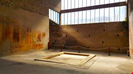 Oplontis
