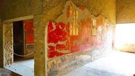 Oplontis