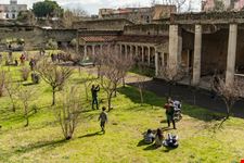 Oplontis