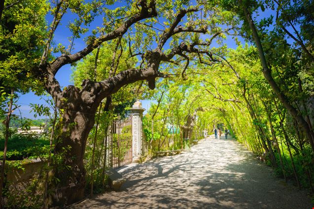 Viterbo_terme