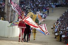 Palio 