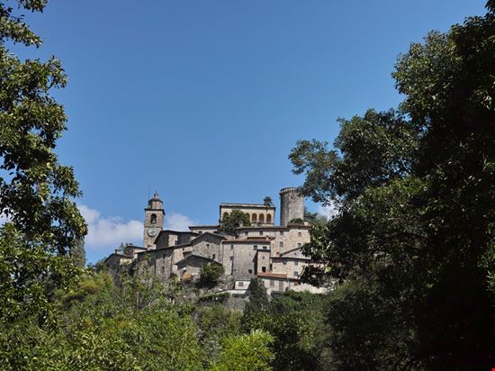 Bagnone Bagnone Sarah2 - Shutterstock.com 