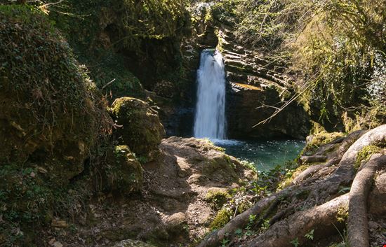 Parco Naturale Regionale Monti Simbruini Il polmone verde del Lazio stock.adobe.com 