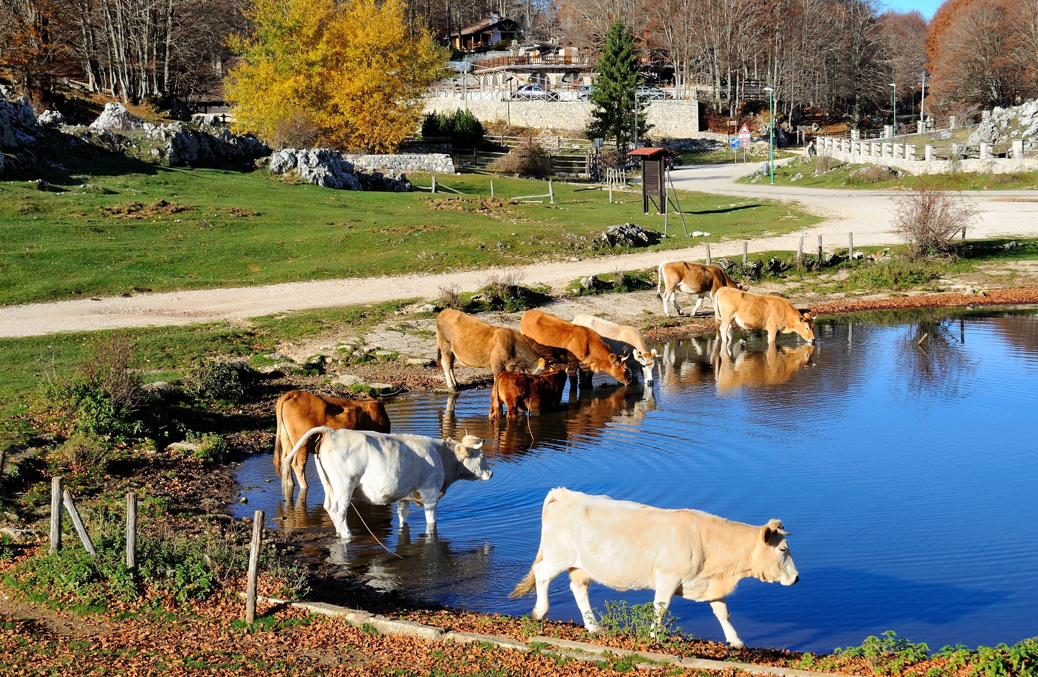 Parco Naturale Regionale Monti Simbruini