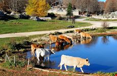 Parco Naturale Regionale Monti Simbruini
