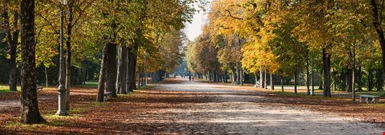 Ducal Park Parma stock.adobe.com 