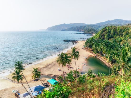 Goa Goa Valerii Iavtushenko - Shutterstock.com 