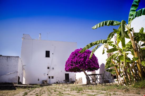 Masserie Accoglienza in Puglia Shutterstock.com 