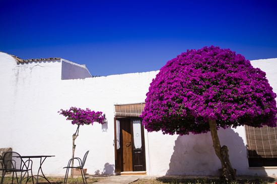 Masserie Accoglienza in Puglia Shutterstock.com 