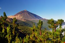 Tenerife