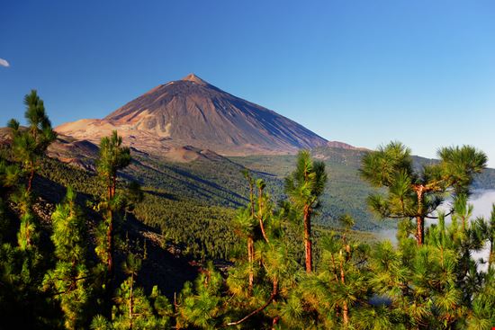 Tenerife parco del Teide Shutterstock.com 