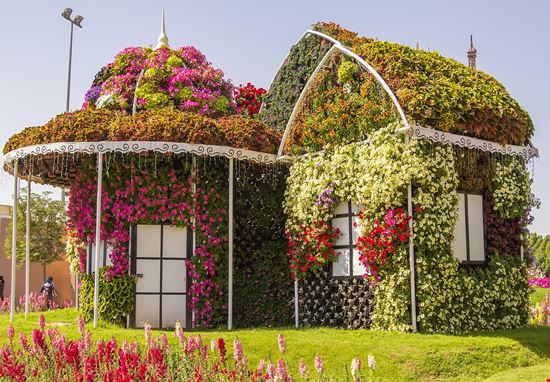 Dubai Miracle Garden stock.adobe.com 