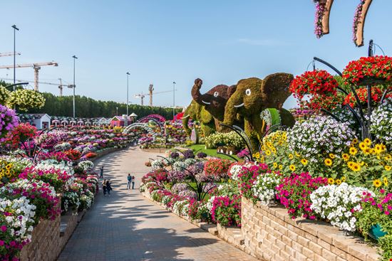 Dubai Miracle Garden Abrar Sharif / Shutterstock.com 