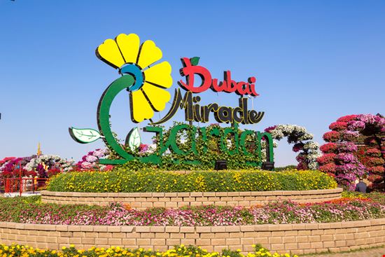 Dubai Miracle Garden S-F / Shutterstock.com 